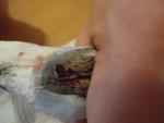 post-65479-1459173871_thumb.jpg