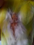 post-65481-1459108095_thumb.jpg