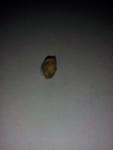 post-65501-1459606449_thumb.jpg