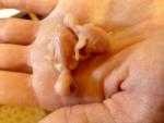 post-65554-1465912333_thumb.jpg
