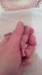 post-65568-1459713035_thumb.jpg