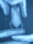 post-65575-1482867957_thumb.jpg