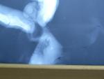 post-65575-1482867979_thumb.jpg