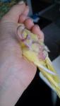 post-65583-1459785362_thumb.jpg