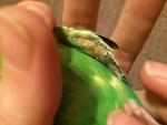 post-65615-1460059054_thumb.jpg