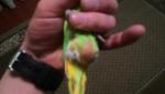 post-65642-1460226011_thumb.jpg