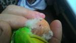 post-65642-1460261564_thumb.jpg