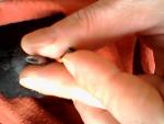 post-65671-1463307016_thumb.jpg