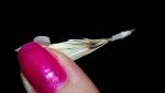 post-65694-1460630514_thumb.jpg