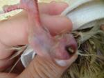 post-65705-1465118328_thumb.jpg