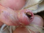 post-65705-1465118490_thumb.jpg