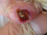 post-65705-1465118792_thumb.jpg