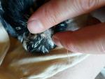 post-65729-1504443660_thumb.jpg