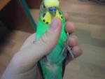post-65761-1461075405_thumb.jpg