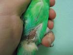 post-65761-1462818064_thumb.jpg