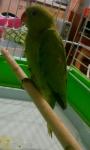 post-65899-1462117308_thumb.jpg