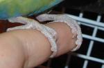 post-6608-1166208440_thumb.jpg