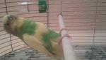 post-66109-1463337825_thumb.jpg