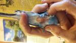 post-66118-1465296546_thumb.jpg