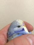 post-66151-1468953190_thumb.jpg