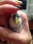 post-66240-1464674035_thumb.jpg
