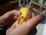 post-66325-1464500053_thumb.jpg