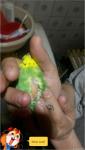post-66427-1465637700_thumb.jpg