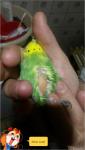 post-66427-1465637726_thumb.jpg