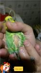 post-66427-1465637751_thumb.jpg