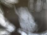 post-66918-1468911147_thumb.jpg