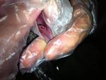 post-67114-1469316672_thumb.jpg
