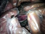 post-67114-1469316733_thumb.jpg