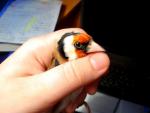 post-6712-1387724146_thumb.jpg
