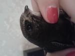 post-67294-1468655474_thumb.jpg