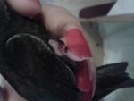 post-67294-1468655502_thumb.jpg