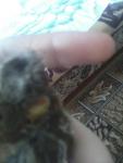 post-67311-1468656689_thumb.jpg