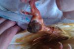 post-67367-1468839862_thumb.jpg