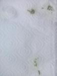 post-67688-1499024193_thumb.jpg