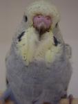DSC00069.JPG