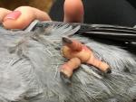 post-67825-1479378706_thumb.jpg