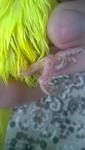 post-67914-1471580117_thumb.jpg