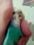 post-68023-1472195777_thumb.jpg