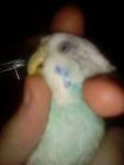 post-68023-1472220268_thumb.jpg