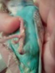 post-68023-1472220300_thumb.jpg