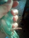 post-68023-1472220313_thumb.jpg