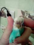 post-68023-1472220344_thumb.jpg