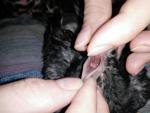 post-68145-1473003880_thumb.jpg