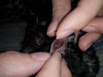 post-68145-1473003902_thumb.jpg