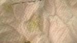 post-68196-1473274217_thumb.jpg