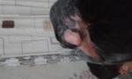 post-68212-1473370556_thumb.jpg